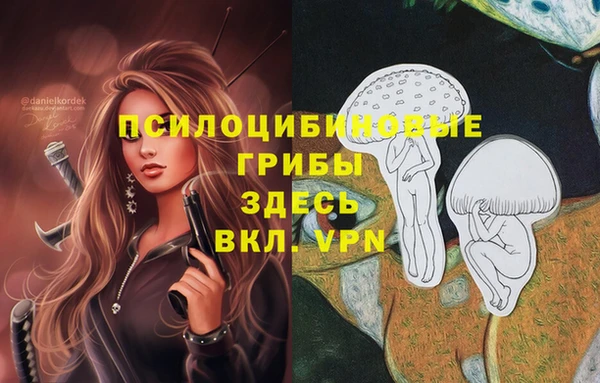 а пвп мука Новодвинск
