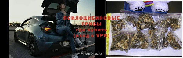 первитин Нея