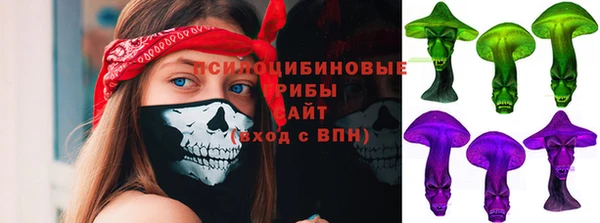 крисы Новокубанск