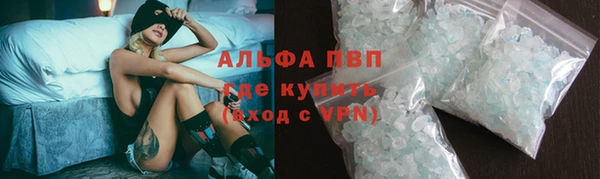 крисы Новокубанск