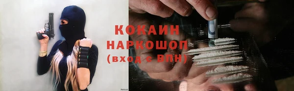 крисы Новокубанск