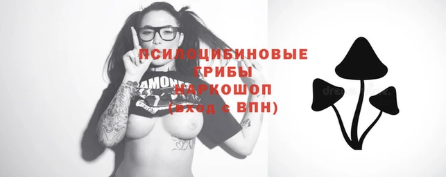 мет Новозыбков