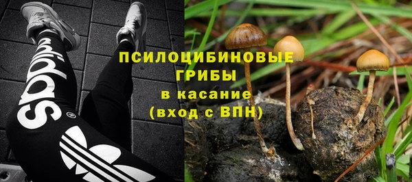 крисы Новокубанск