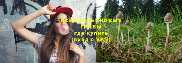 мет Новозыбков