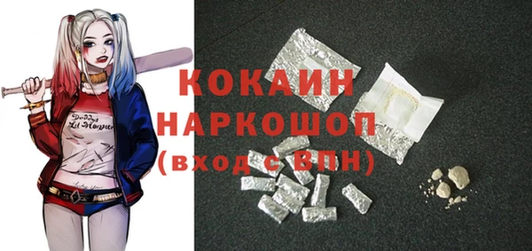 мет Новозыбков