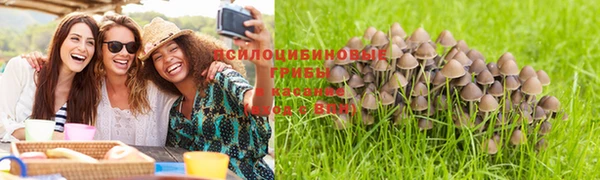 хмурый Нязепетровск