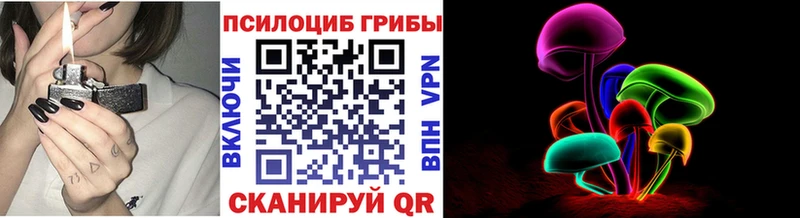 как найти наркотики  Шагонар  Галлюциногенные грибы мицелий 