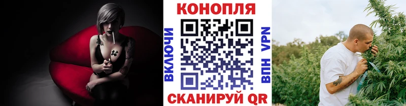 где купить наркоту Шагонар блэк спрут зеркало Канабис Bruce Banner